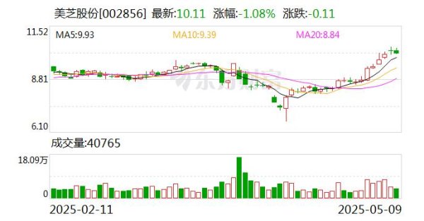 专业炒股配资网 美芝股份股东李苏华1247万股拍卖撤回 因案外人提出异议