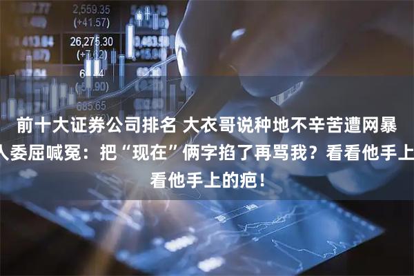 前十大证券公司排名 大衣哥说种地不辛苦遭网暴，本人委屈喊冤：把“现在”俩字掐了再骂我？看看他手上的疤！