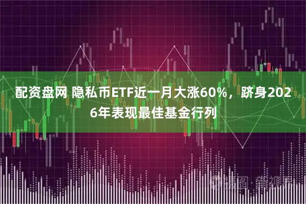 配资盘网 隐私币ETF近一月大涨60%，跻身2026年表现最佳基金行列